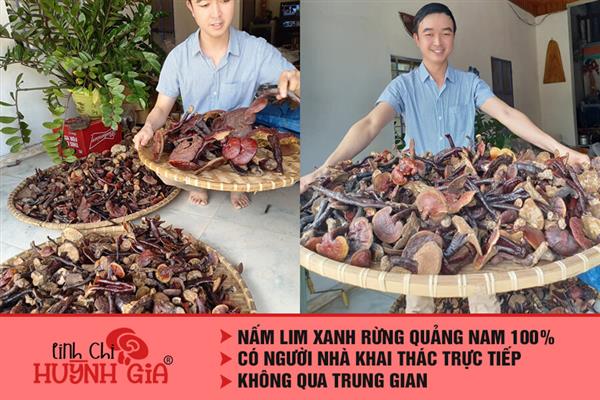 Nấm Lim Xanh Đà Nẵng - TOP 5 Địa chỉ bán nấm lim xanh uy tín
