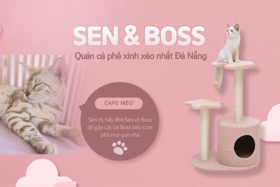 Quán cà phê thúc cưng ngon Đà Nẵng Sen & Boss